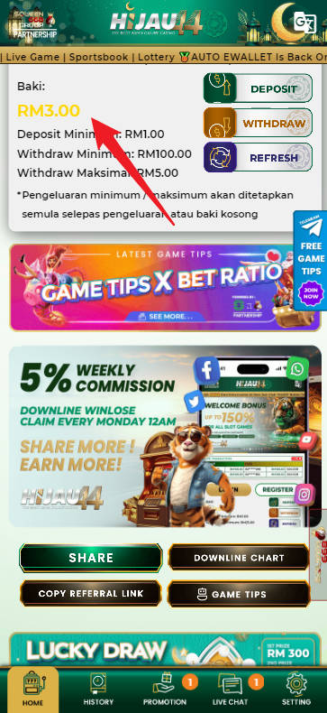 Free Credit New - Free Credit 365 - Hijau44 - RM3 - Step 4 - Check Balance
